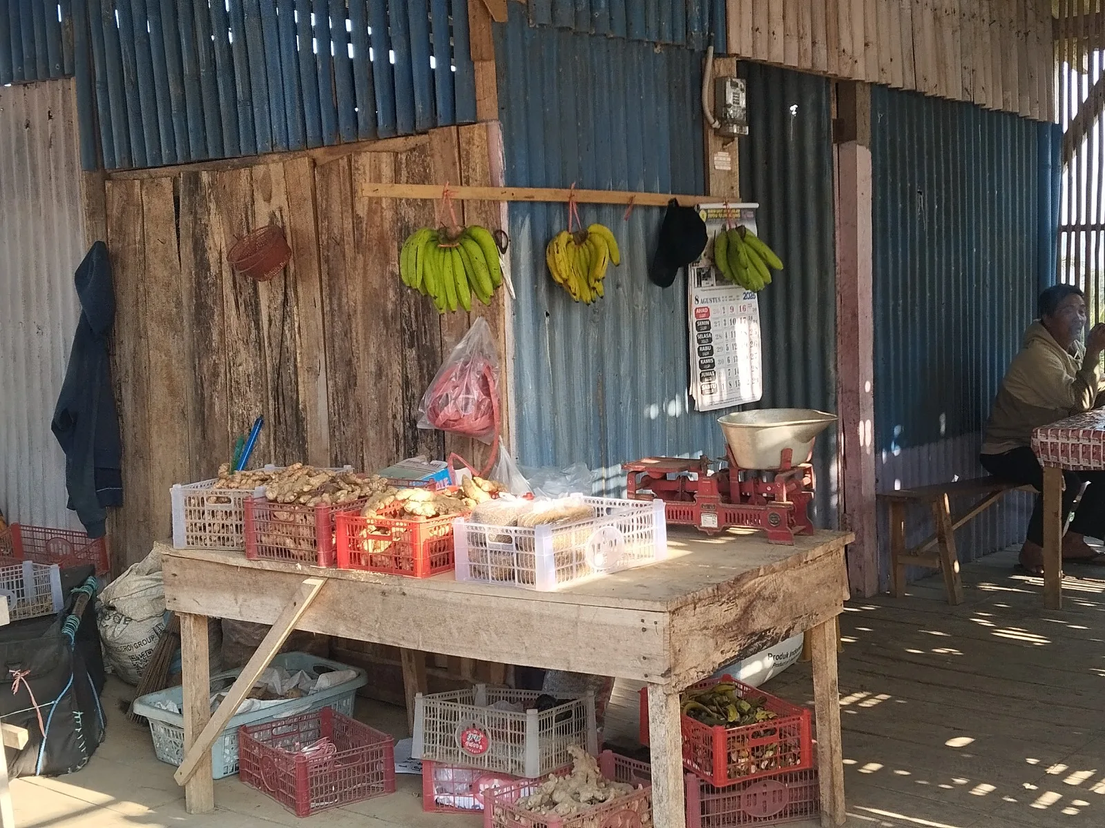 Bakol gedang ngledeng